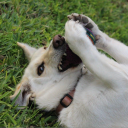 twistycs#4438's avatar