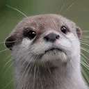 scientistmonkey