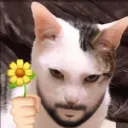 augustcoman