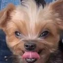 leemcgee