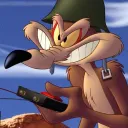 catucchi