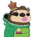 0xjczhang