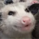 someusername