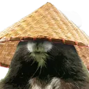 fredthesusl