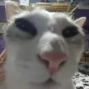 domegamer14
