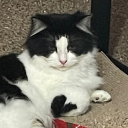 avatar master baiter