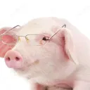 mightydane