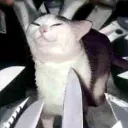 catharsim