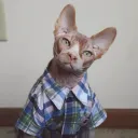 _ahna