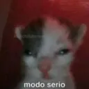 meemee6164