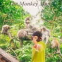 themonkeyman6241