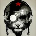 raul131944