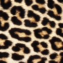 Mysterious_Legume's Avatar