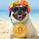 basspug