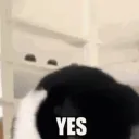 legal_vi