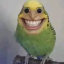 zonnil