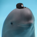 avatar SorryImReallyHigh