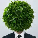 ._.bush