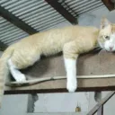 pointofgravity
