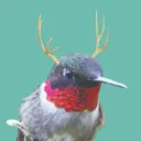 strayfeather