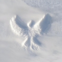 avatar TranspiFraise