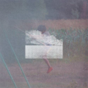 avatar TranspiFraise