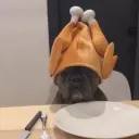 murdt