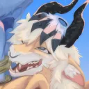 rokadoka