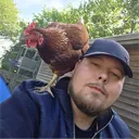bastarsan