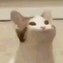 nuclearhops