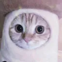 rebbi