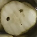 amorphousasexualblob