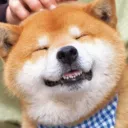 natnosuke