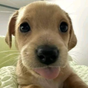 avatar 𝓍𝒦𝑜𝓏𝑒𝒟.