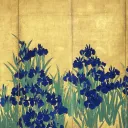 iris.m77