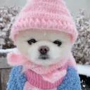 soakyboo