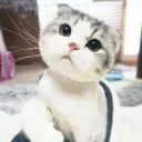 lxvvxl