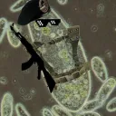 procarryot