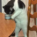 6fitzy