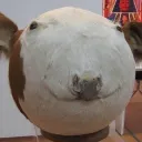 schwarzbauer