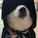 russucx