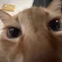 fantuantl_sufule