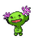 chakkel