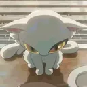 patcheko