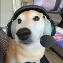 procdrone