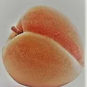 molirs