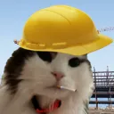 kamikazekitten