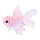 bluefishlulu