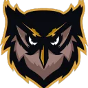 dsowl
