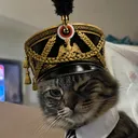 riskymusket